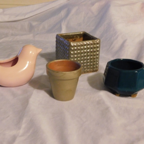 Succulent or Cacti Mini Pots Collection - Picture 1 of 5